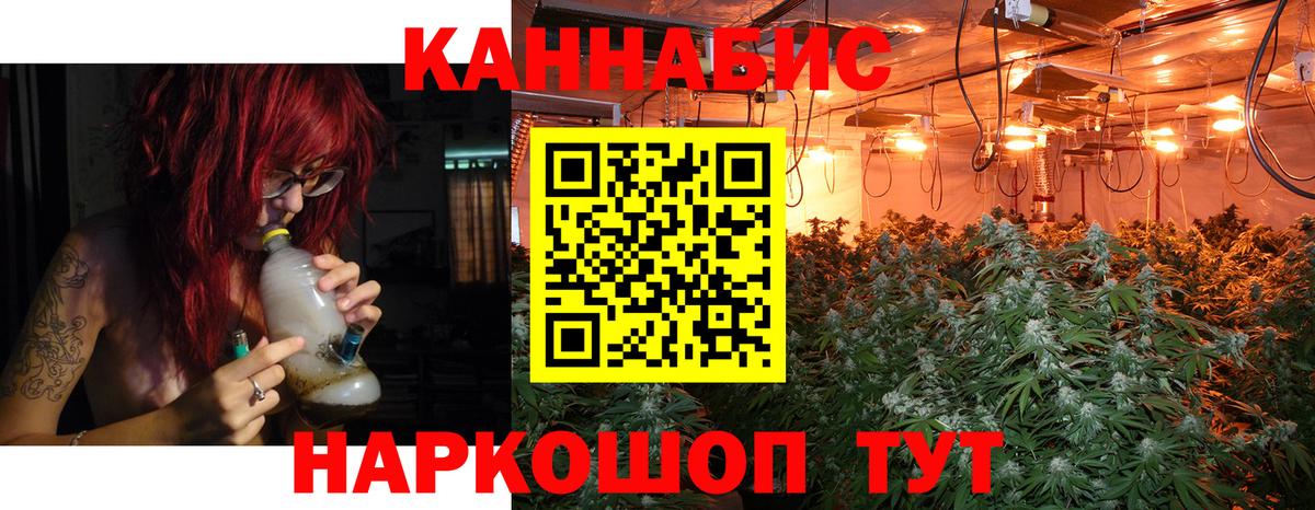 МАРИХУАНА план Гусев